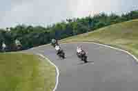 Middle Group